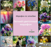 178555714525.png