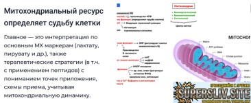 1786291209123.png 1786291209123.png