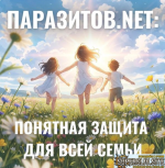 1787731531843.png 1787731531843.png