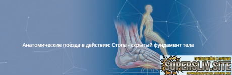 1791117633511.png 1791117633511.png