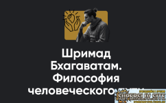 1791609456923.png