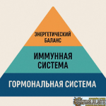 1791641131429.png 1791641131429.png